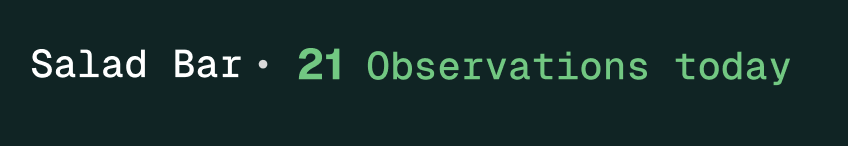 An embedded feedback badge reading 'Salad Bar · 21 Observations today'